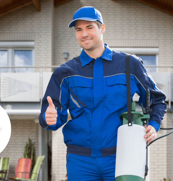 شركة مكافحة الحشرات والقوارض 600x628